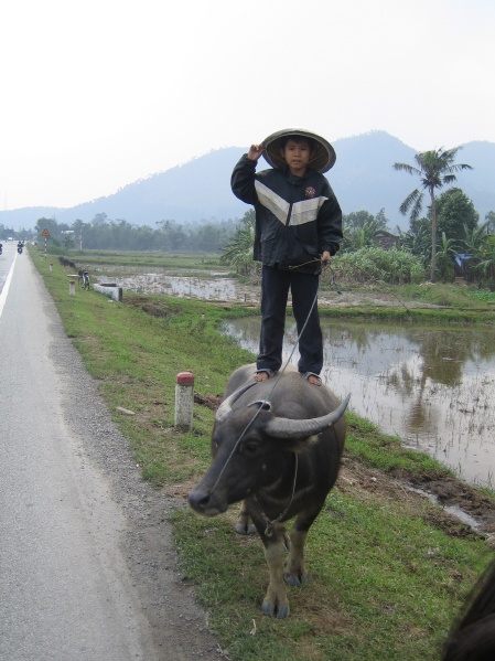 Danang Vietnam Area